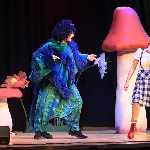 Alice im Wunderland 2