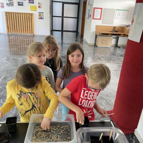 Zucchini-Wettbewerb1