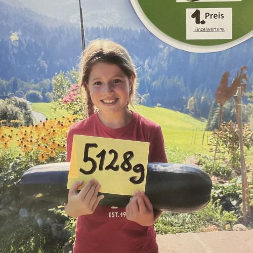 Zucchini-Wettbewerb