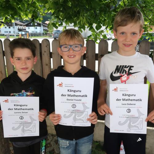 Känguru der Mathematik