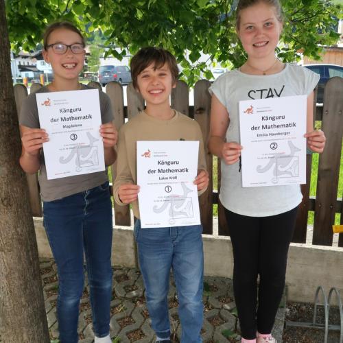 Känguru der Mathematik
