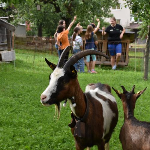 Faszination Landwirtschaft