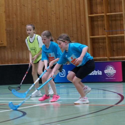 Floorball