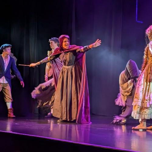 Rapunzel und die Hexe