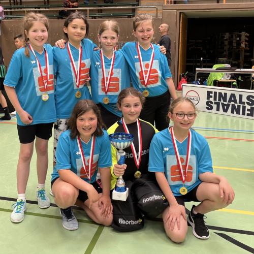 Floorballmeisterschaft