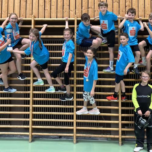 Floorballmeisterschaft