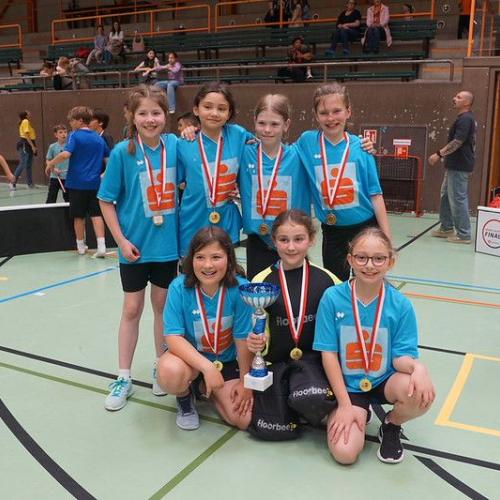 Floorballmeisterschaft