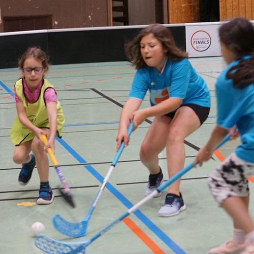 Floorballmeisterschaft