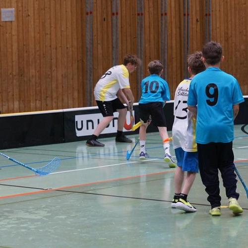 Floorballmeisterschaft