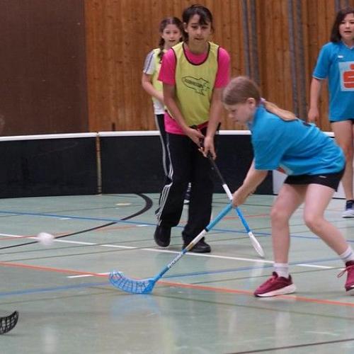 Floorballmeisterschaft