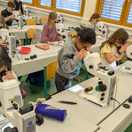Kinder vor den Mikroskopen