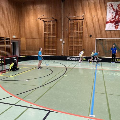 Floorballmeisterschaft