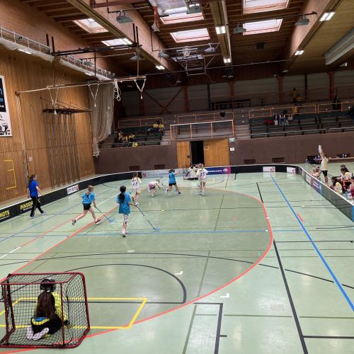 Floorballmeisterschaft