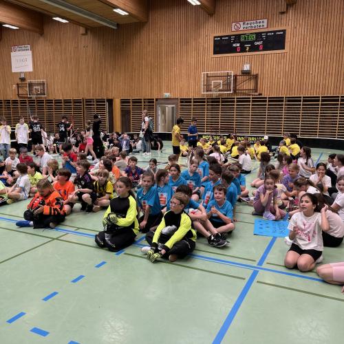 Floorballmeisterschaft