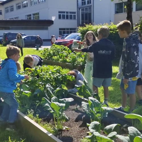 Kinder im Schulgarten