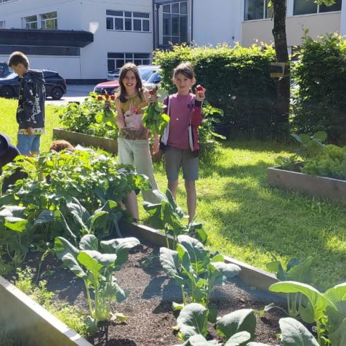 Kinder im Schulgarten
