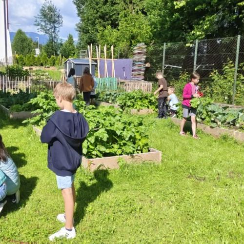 Kinder im Schulgarten