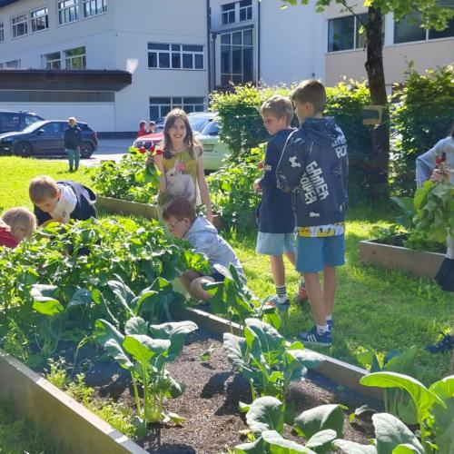 Kinder im Schulgarten