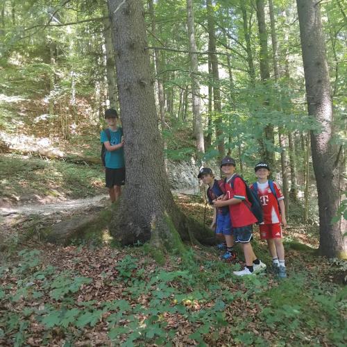 Kinder im Wald