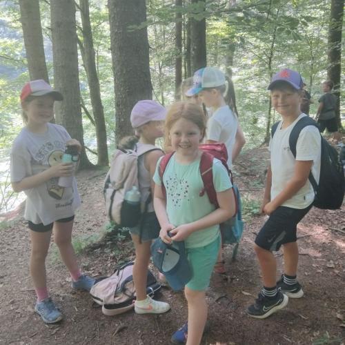 Kinder auf Wanderweg in Wald