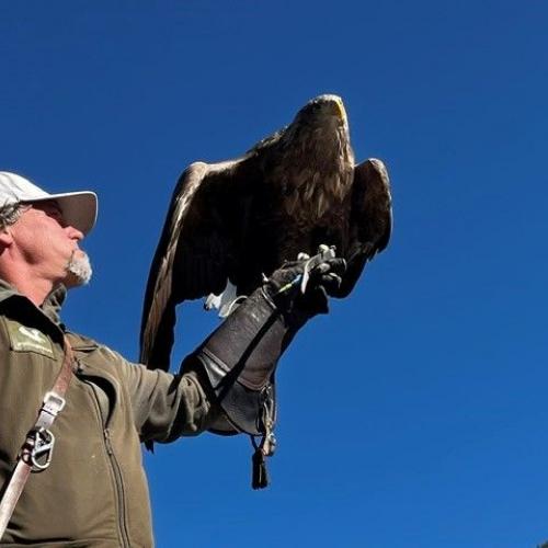 Adler