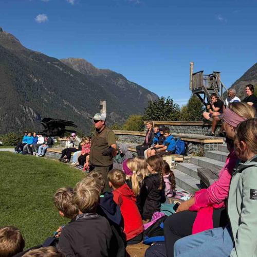 Kinder bei der Greifvogelschau