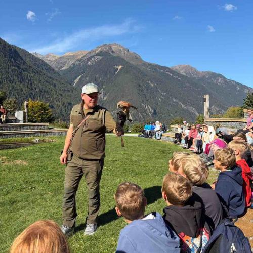Kinder bei der Greifvogelschau
