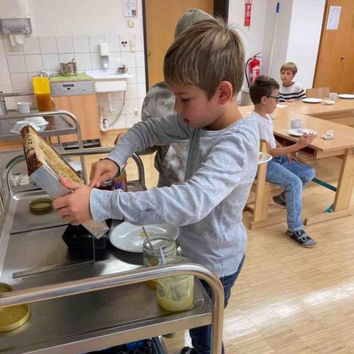 Kind bei Honigwabe