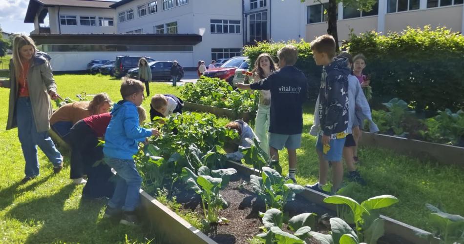 Kinder im Schulgarten